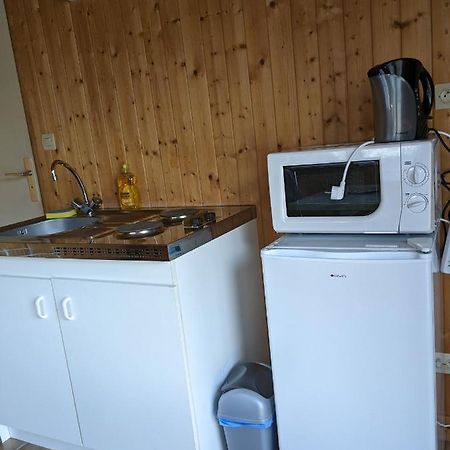 Au Petit Chalet D'Illiers Combray - Salle D'Eau Uniquement Dış mekan fotoğraf