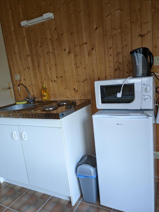 Au Petit Chalet D'Illiers Combray - Salle D'Eau Uniquement Dış mekan fotoğraf