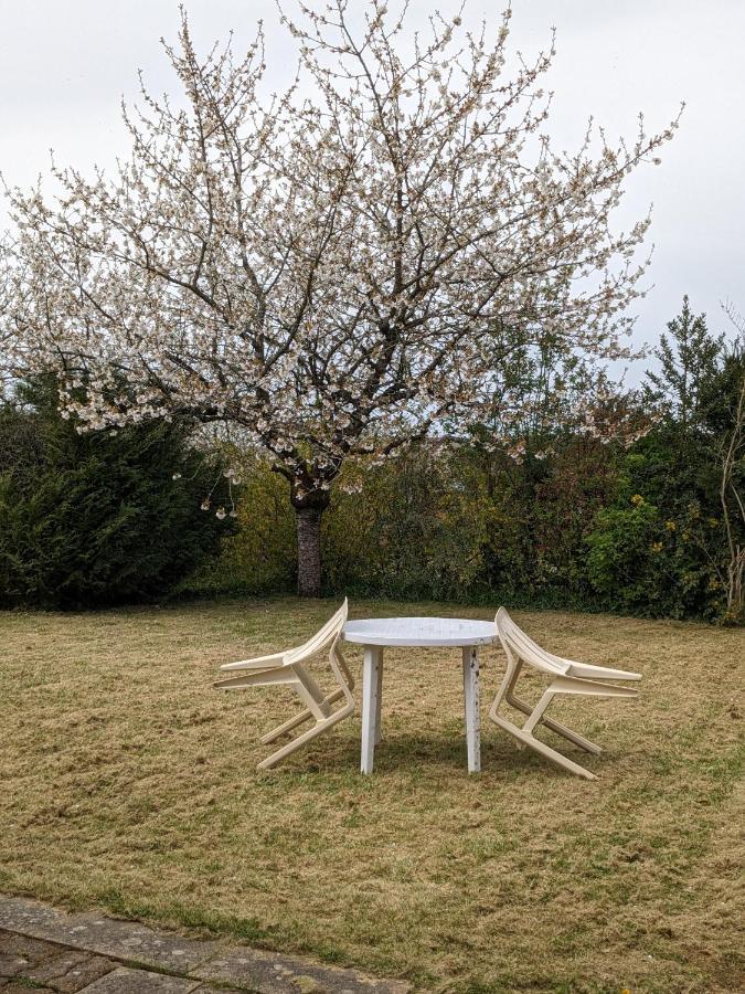 Au Petit Chalet D'Illiers Combray - Salle D'Eau Uniquement Dış mekan fotoğraf
